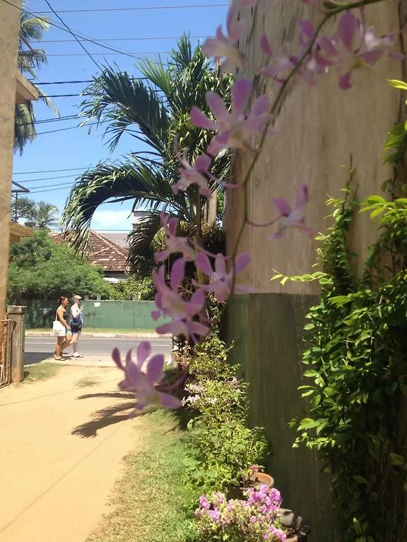 Kudapaduwa Manik Home Stay