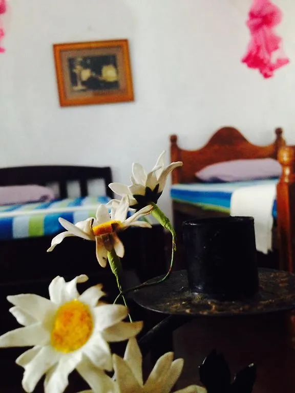 Homestay Manik Home Stay Kudapaduwa